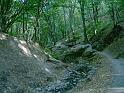 szate 2011.09.17 (153)